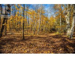 0 Lakeshore Road, Armour, ON P0A1C0 Photo 17
