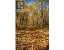 0 Lakeshore Road, Armour, ON P0A1C0 Photo 18