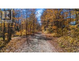 0 Lakeshore Road, Armour, ON P0A1C0 Photo 6