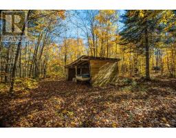 0 Lakeshore Road, Armour, ON P0A1C0 Photo 7