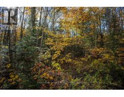 0 Lakeshore Road, Armour, ON P0A1C0 Photo 8