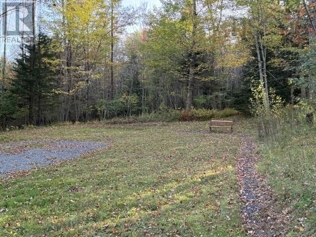 231 Lower Branch Road - 23