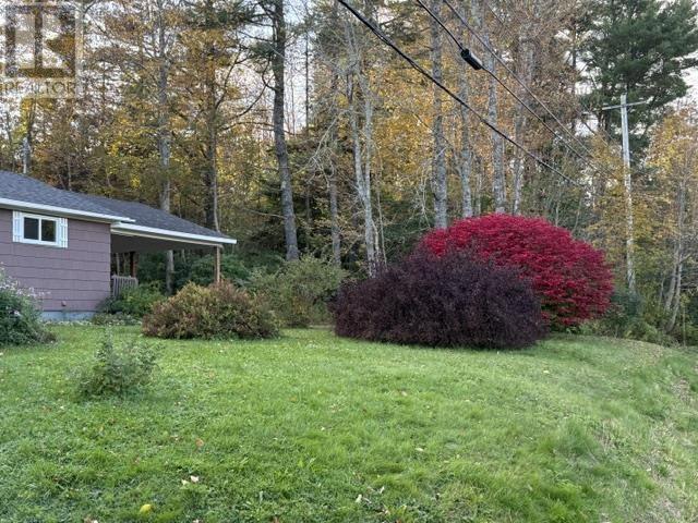 231 Lower Branch Road - 21