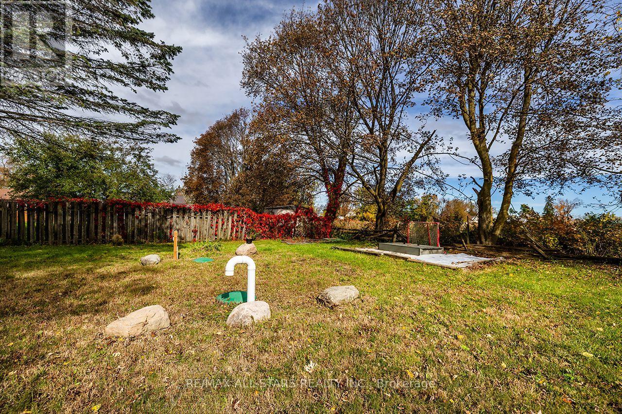 11 Church Street, Kawartha Lakes, ON photo 30