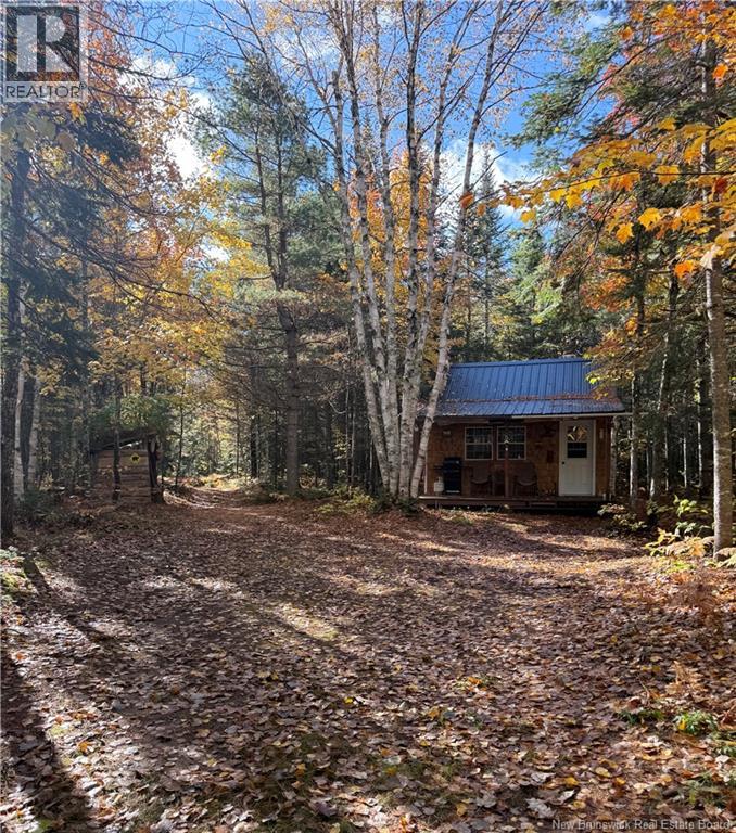 304 Price Settlement Road - 45