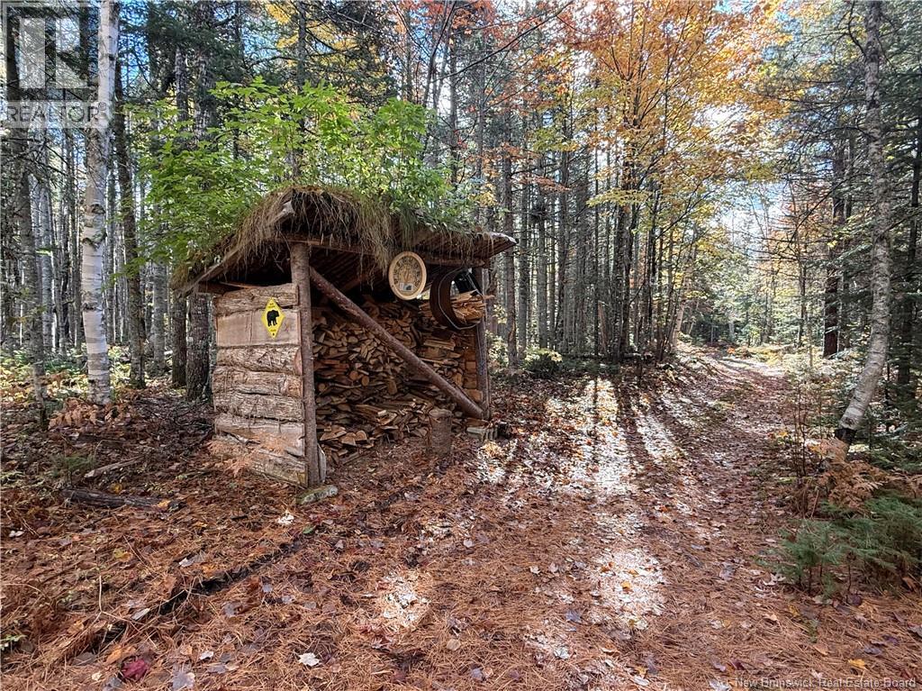 304 Price Settlement Road - 43