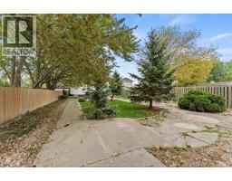 248 Meunier Street, Belle River, ON N0R1A0 Photo 35
