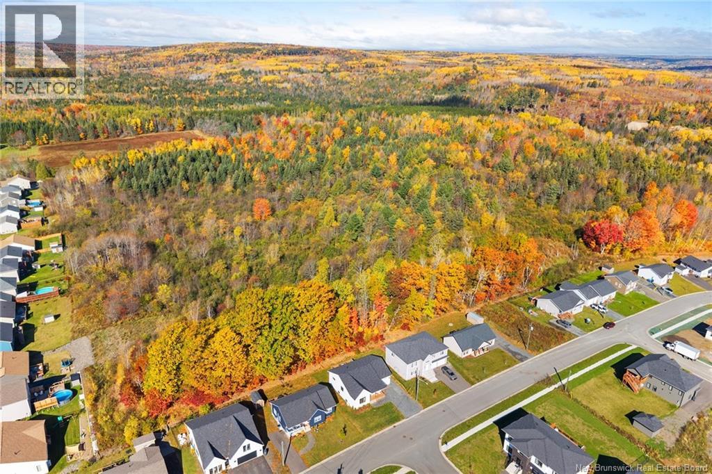 233 Gilridge Drive - 47