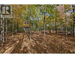 872 6th Conc Road W, Flamborough, ON L8B1M9 Photo 45
