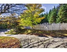 3343 Highway 311, Nuttby, NS B6L6H8 Photo 43