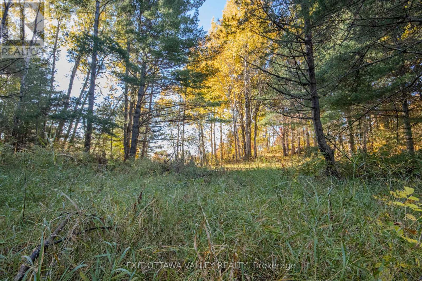 12894 Highway 60 Highway — photo 37