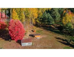 12894 Highway 60 Highway, North Algona Wilberforce, ON K0J1X0 Photo 12