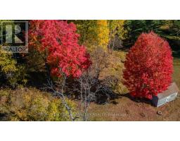 12894 Highway 60 Highway, North Algona Wilberforce, ON K0J1X0 Photo 13
