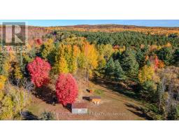 12894 Highway 60 Highway, North Algona Wilberforce, ON K0J1X0 Photo 14
