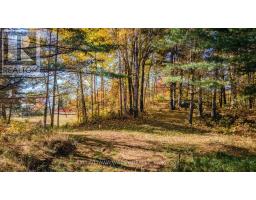 12894 Highway 60 Highway, North Algona Wilberforce, ON K0J1X0 Photo 16
