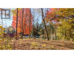12894 Highway 60 Highway, North Algona Wilberforce, ON K0J1X0 Photo 21