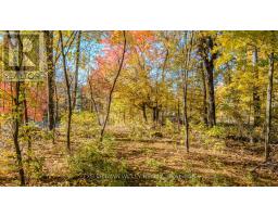 12894 Highway 60 Highway, North Algona Wilberforce, ON K0J1X0 Photo 22