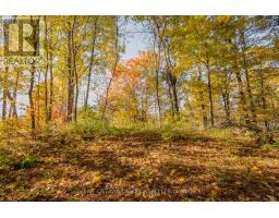 12894 Highway 60 Highway, North Algona Wilberforce, ON K0J1X0 Photo 26