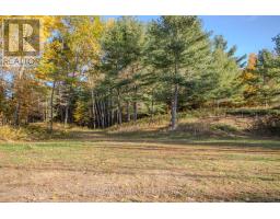 12894 Highway 60 Highway, North Algona Wilberforce, ON K0J1X0 Photo 29