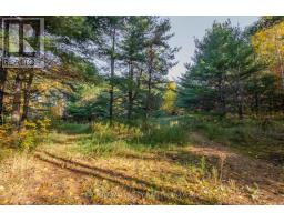 12894 Highway 60 Highway, North Algona Wilberforce, ON K0J1X0 Photo 32