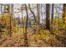 12894 Highway 60 Highway, North Algona Wilberforce, ON K0J1X0 Photo 33
