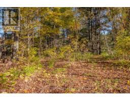 12894 Highway 60 Highway, North Algona Wilberforce, ON K0J1X0 Photo 34