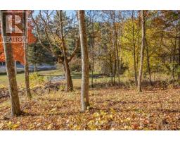 12894 Highway 60 Highway, North Algona Wilberforce, ON K0J1X0 Photo 35