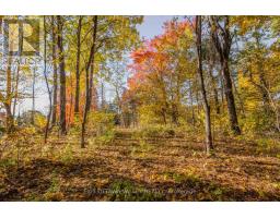 12894 Highway 60 Highway, North Algona Wilberforce, ON K0J1X0 Photo 36