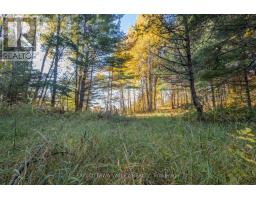 12894 Highway 60 Highway, North Algona Wilberforce, ON K0J1X0 Photo 37
