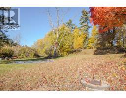 12894 Highway 60 Highway, North Algona Wilberforce, ON K0J1X0 Photo 39