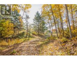 12894 Highway 60 Highway, North Algona Wilberforce, ON K0J1X0 Photo 40