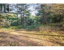 12894 Highway 60 Highway, North Algona Wilberforce, ON K0J1X0 Photo 42