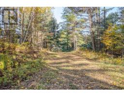 12894 Highway 60 Highway, North Algona Wilberforce, ON K0J1X0 Photo 44