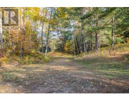 12894 Highway 60 Highway, North Algona Wilberforce, ON K0J1X0 Photo 45
