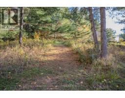 12894 Highway 60 Highway, North Algona Wilberforce, ON K0J1X0 Photo 46