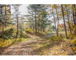 12894 Highway 60 Highway, North Algona Wilberforce, ON K0J1X0 Photo 50
