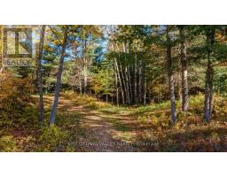 12894 Highway 60 Highway, North Algona Wilberforce, ON K0J1X0 Photo 8