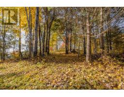 12894 Highway 60 Highway, North Algona Wilberforce, ON K0J1X0 Photo 9