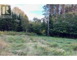 1290 Ridge Road, Falkland Ridge, NS B0R1H0 Photo 13