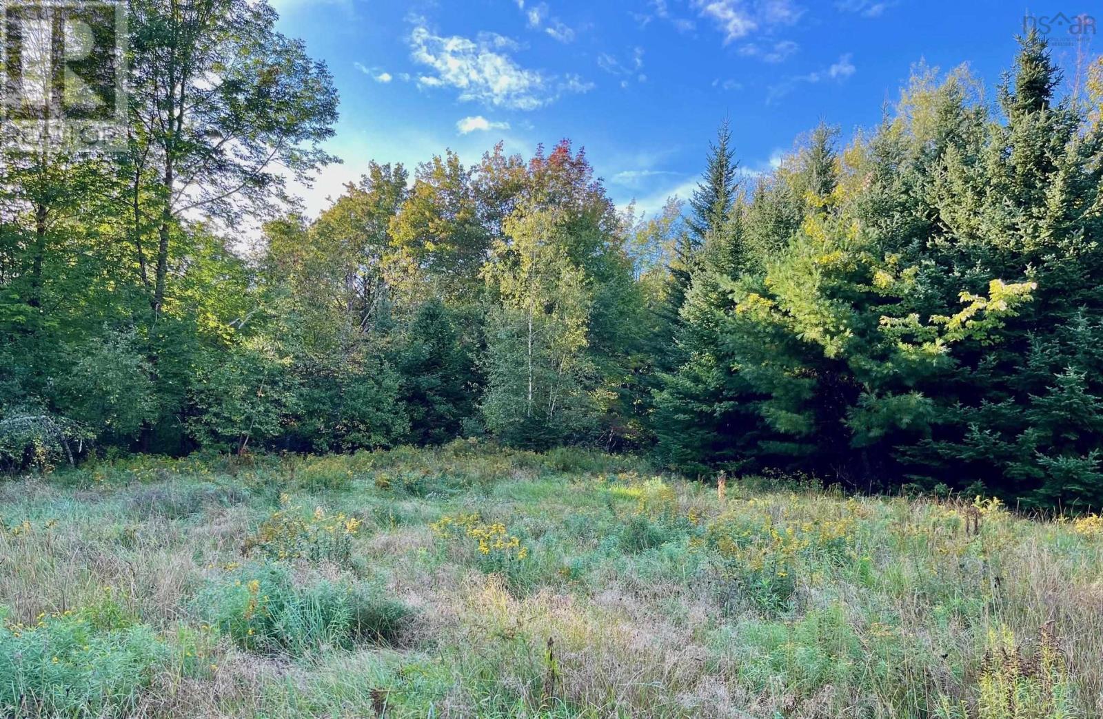 1290 Ridge Road - 14