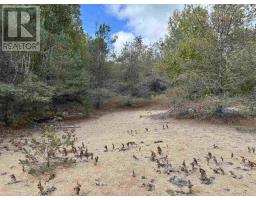. Pcl 1472 Hilton, St  Joseph Island, ON P0R1J0 Photo 6