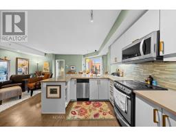 517 - 316 Bruyere Street, Ottawa, ON K1N0C3 Photo 9