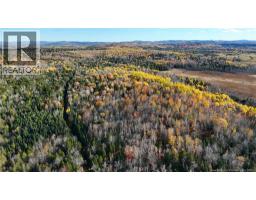 000 Meadow Lane, photo 4