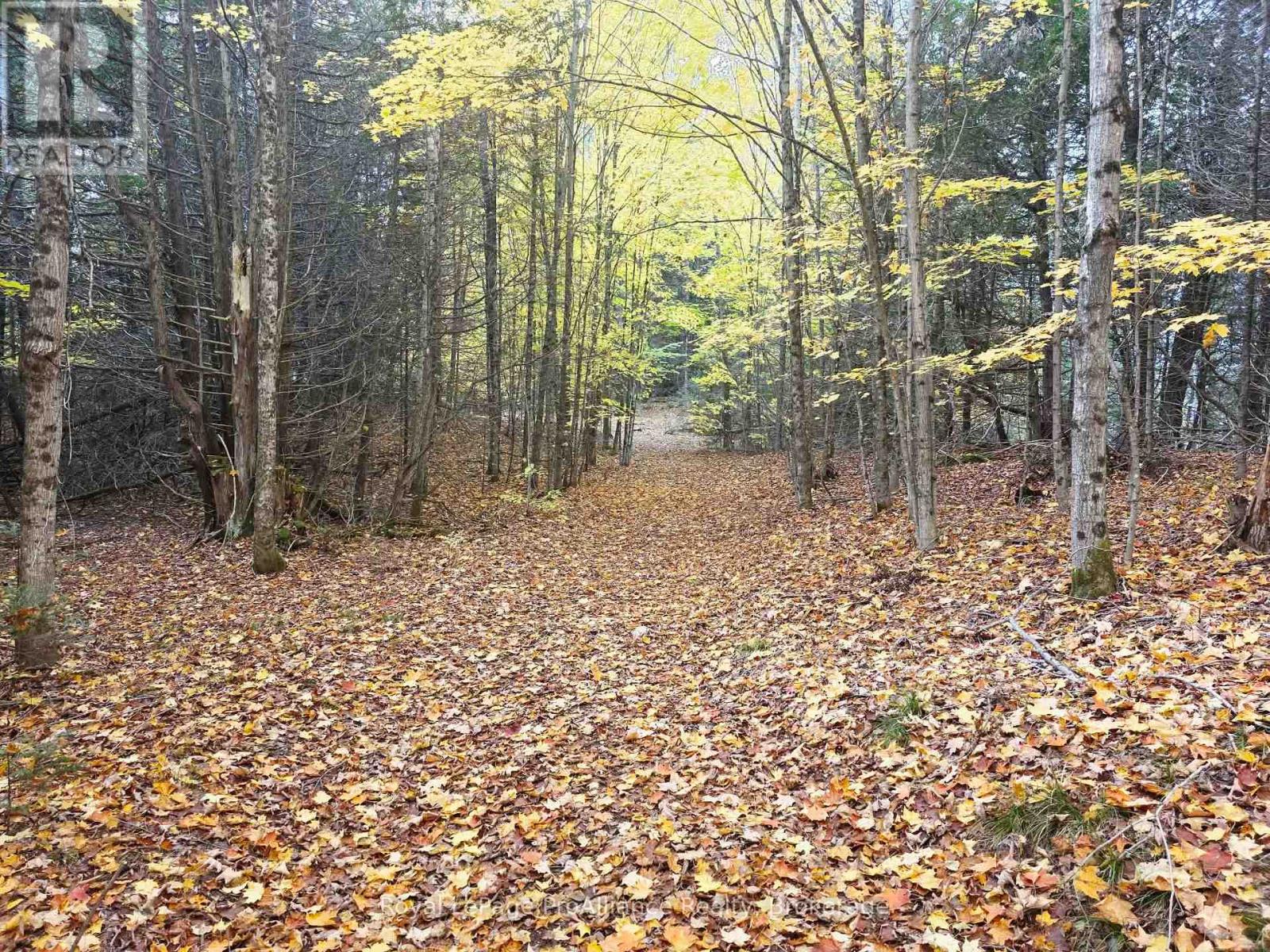 1883 South Road, North Frontenac, ON photo 14