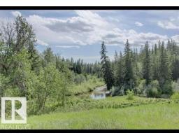 #333 4404 122 St Nw, Edmonton, AB T6J4A9 Photo 51