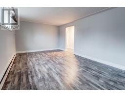 105 Dixon Street, Kitchener, ON N2G3E8 Photo 41
