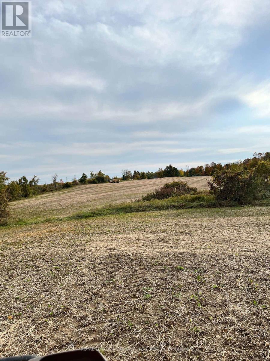 5167 Fifth Line, Erin, ON photo 38