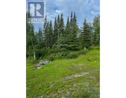 17 Au Lac Retreats Road, Sioux Narrows Nestor Falls, ON P0X1N0 Photo 17