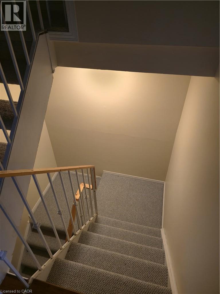 20 Paulander Drive — photo 14