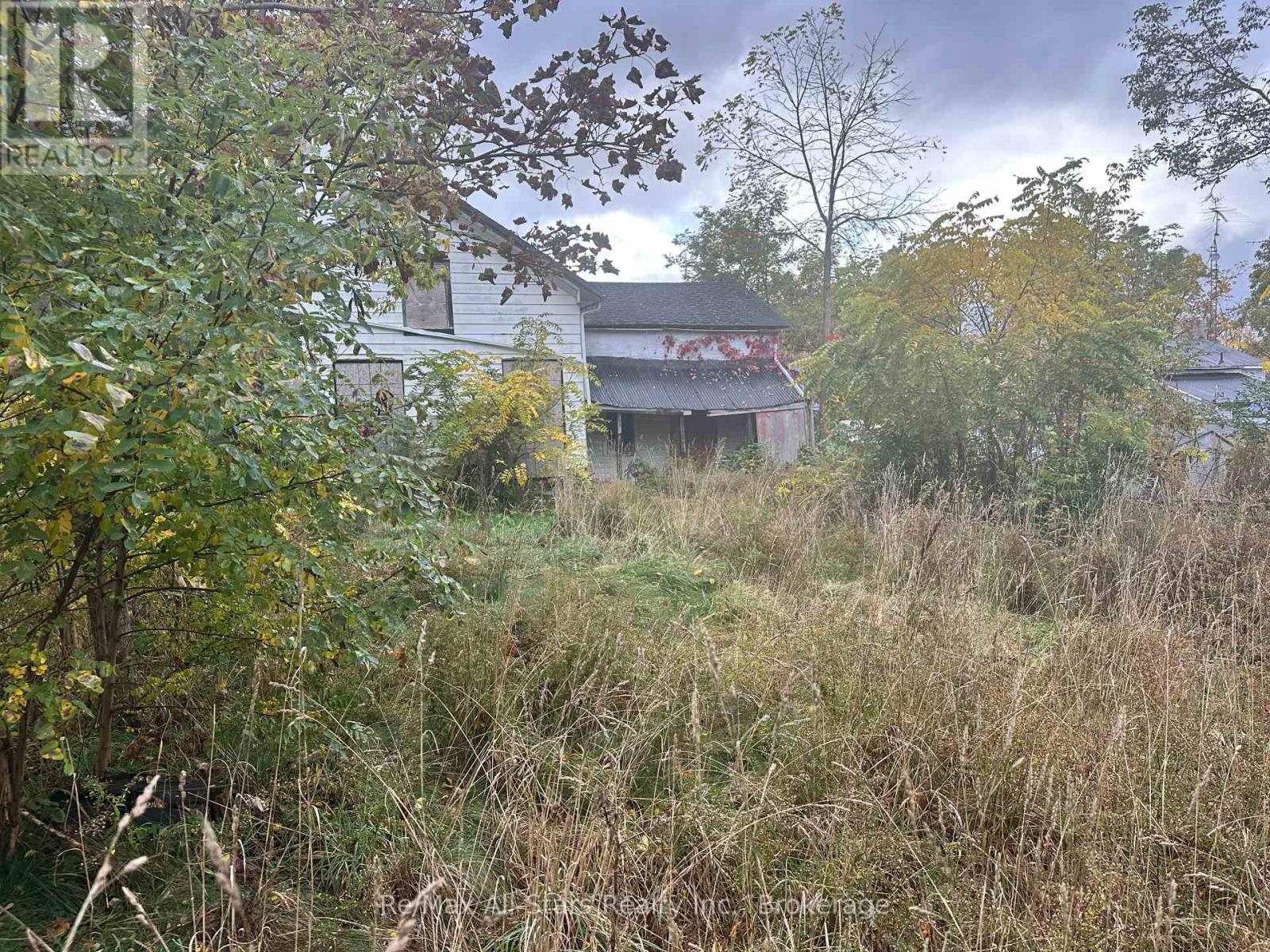 2385 HIGHWAY 7 HIGHWAY, Kawartha Lakes (Manilla) — photo 5